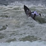 Claudemir Lima - Rio Cidade do Surf, etapa da Prainha. Foto: Nelson Veiga.